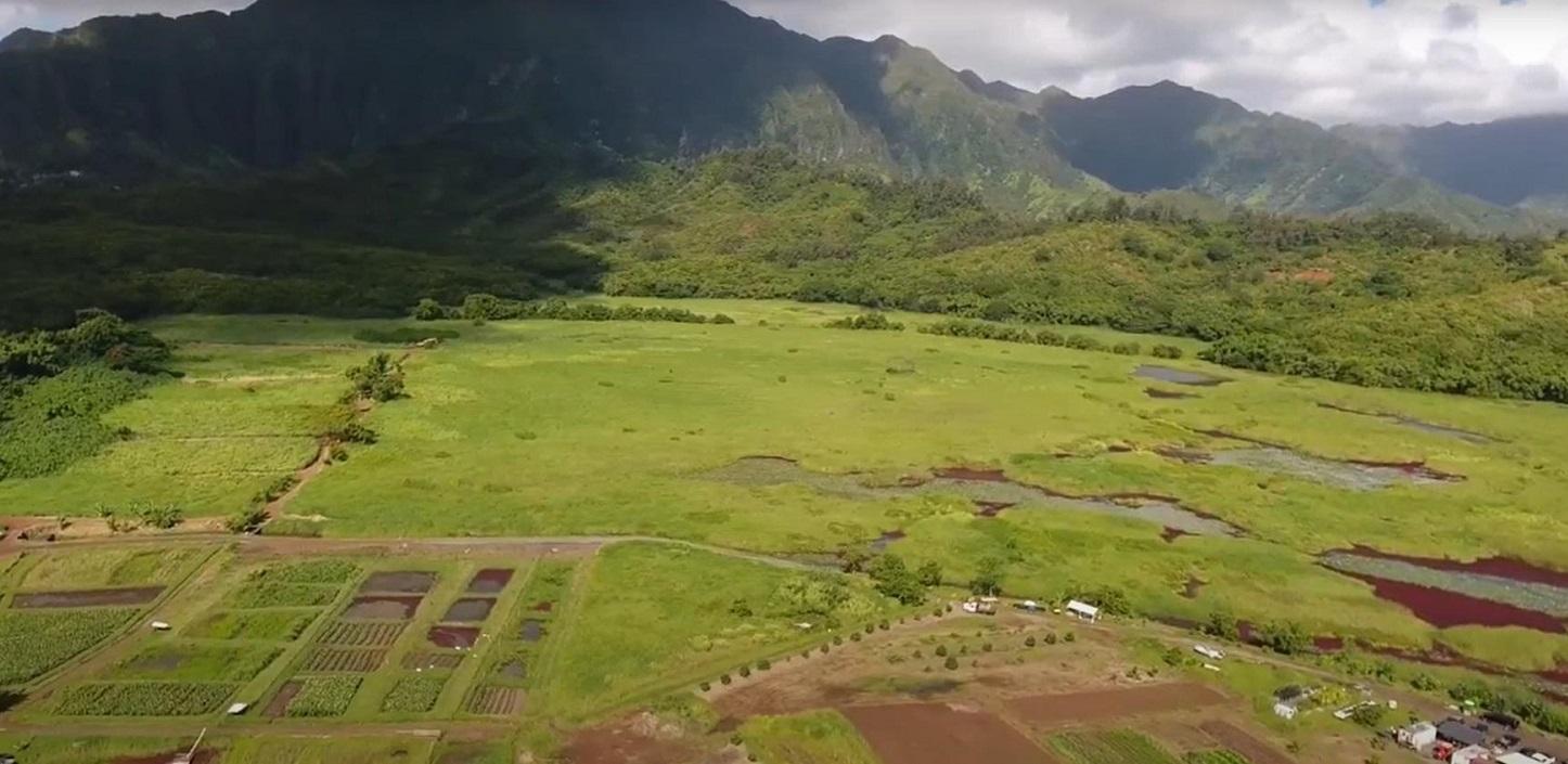 Case Study The Nature Conservancy NFWF